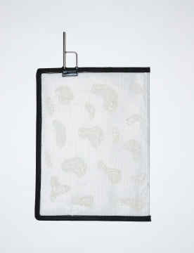 18" X 24" Celo Cucoloris