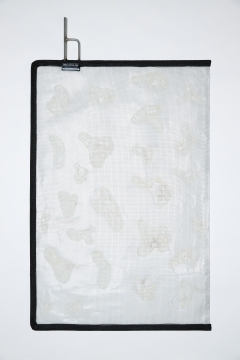 24" X 36" Celo Cucoloris